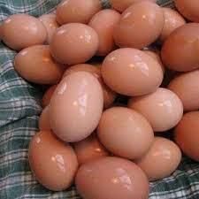 Egg Shell Coating With Mineral Oil and Soybean Oil