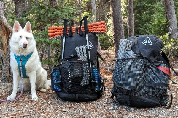 Is It Possible To Backpack With A Dog