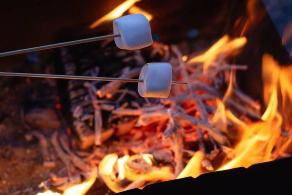 Campfire Roasting Sticks with Extendable Handles