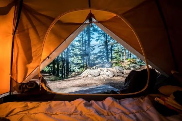 Campsite Comfort Camping Ideas
