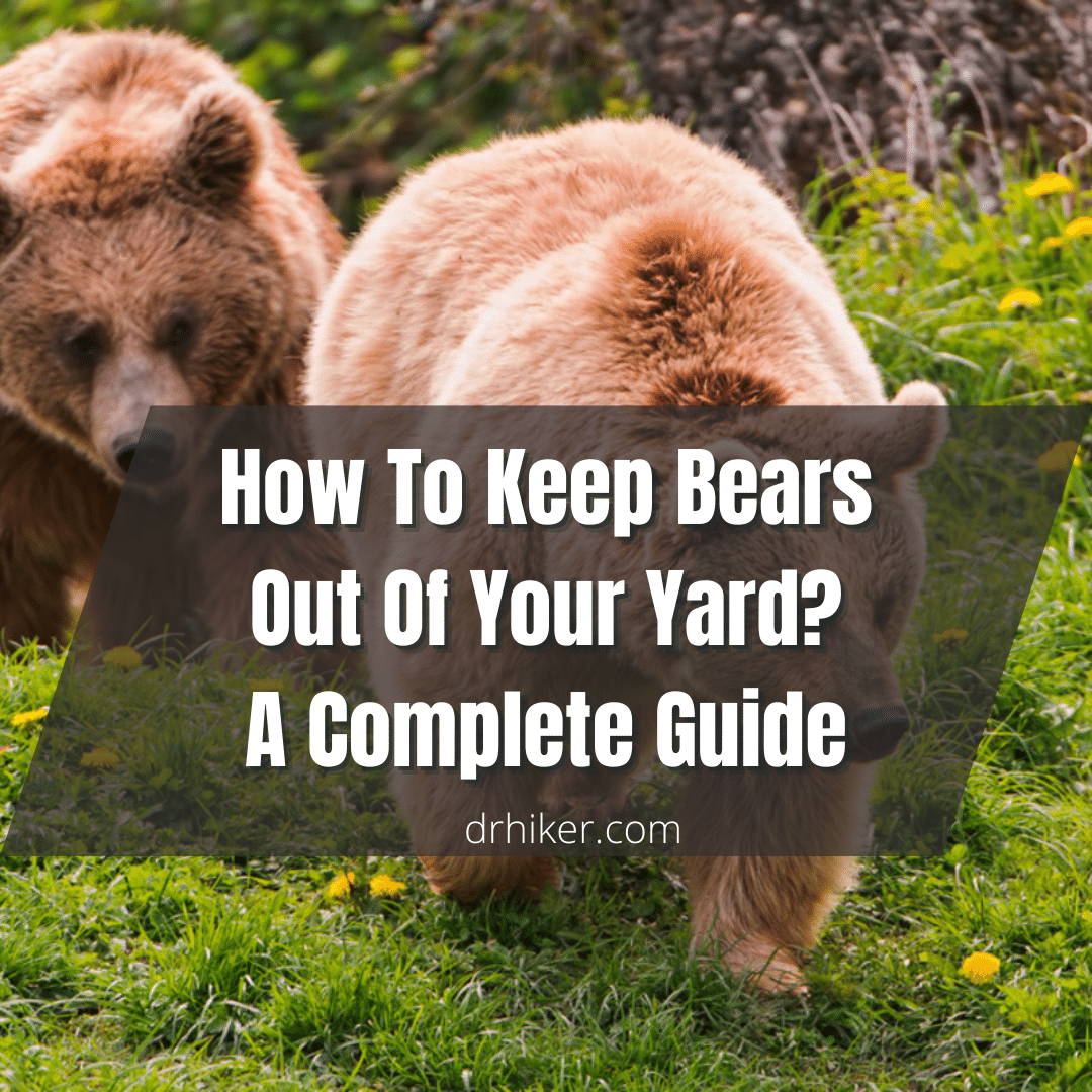How To Keep Bears Out Of Your Yard