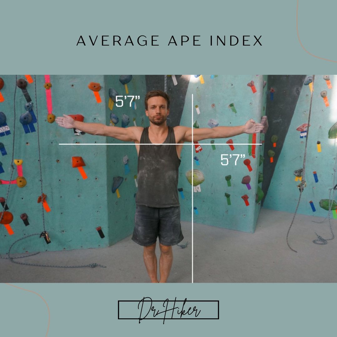 Average Ape Index
