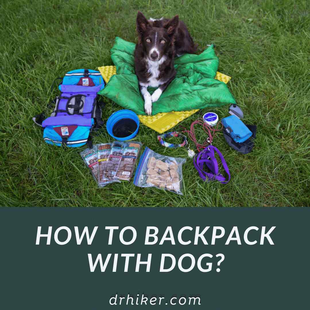 How To Backpack With Dog
