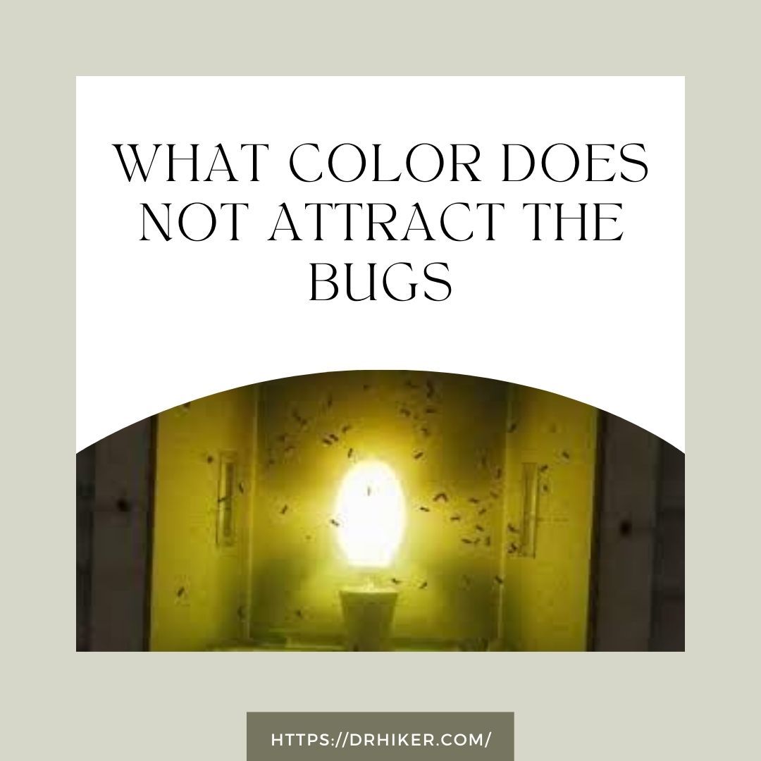 What Color Does Not Attract The Bugs
